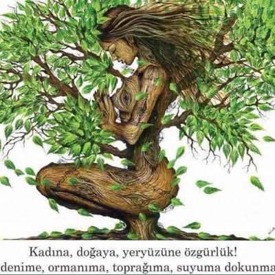 Halkların Eşitlik Ve Demokrasi Partisi Dem Parti Van İl Eş Başkanı