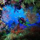 DARYL SHELTON - @DARYLSHELTON1 - Twitter