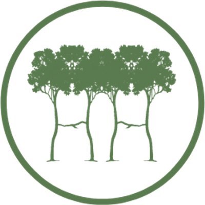 HabitualHarmony's profile picture. Sometimes the slowest path is the most rewarding. 
Instagram: @ habitual.harmony