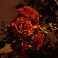 Vuslat (@vuslat89196558) 's Twitter Profile Photo Vuslat (@vuslat89196558) 's Twitter Profile Photo