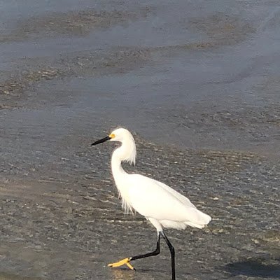 CCsAdventures1's profile picture. 