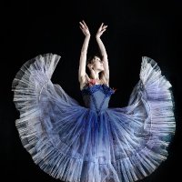 Metropolitan Ballet (@metroballetmn) Twitter profile photo