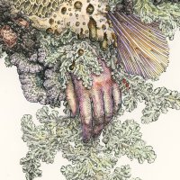 PYRITHE (@pyrithe_band) 's Twitter Profile