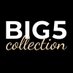 The Big 5 NFT Collection (@big5nfts) Twitter profile photo