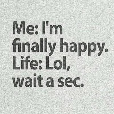 purrpirates's profile picture. 