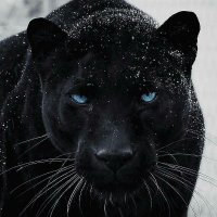 - (@igriffinttv) 's Twitter Profile