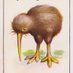 Early Aotearoa New Zealand (@zealandearly) Twitter profile photo Early Aotearoa New Zealand (@zealandearly) Twitter profile photo