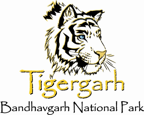 Our new resort - Tigergarh opens to this world from mid Oct 2011.I have after my 14yrs of Corporate life ventured on my own - Gagan Gahlot