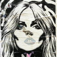 Accidental Street Art (@accidental_sa) 's Twitter Profile