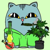 CANNA CATS CLUB (@cannacatss) 's Twitter Profile Photo