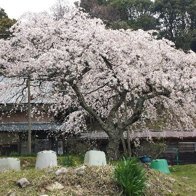 アパレルショップやってます♪
メルカリ、ラクマ、ペイペイフリマで出品してます♪
主にレディース商品扱っています。今後メンズも充実させていく予定です。