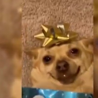 safecode_12's profile picture. Boring