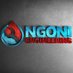 Ngoni engineering ltd (@AnnasMudola) Twitter profile photo