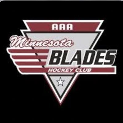 2010 Minnesota Blades