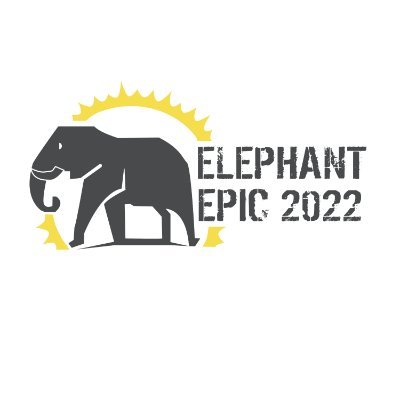 TheElephantEpic Profile Picture