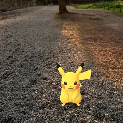 PokemonGO時々Pikmin・Peridot・MHNow
2016.7.22〜/Tokyo🇯🇵
Welcome GO Friend!
日々の記録とAR写真を📸
(撮影機材はAndroid Xperia Pro-l)
TL50(2021.06.25到達)🔶Team Instinct🔶