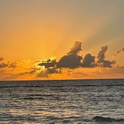 Aimee Turner Profile