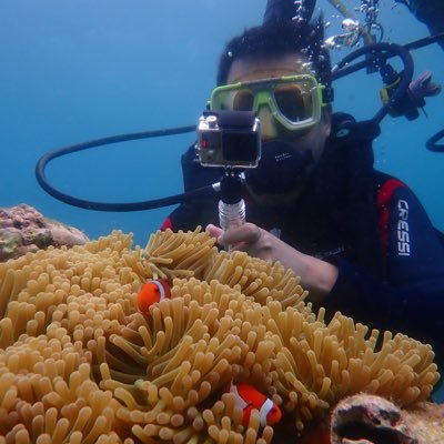 bjavelasco's profile picture. 