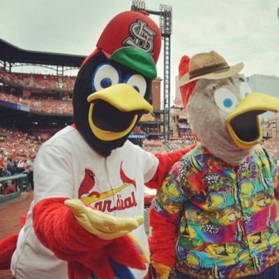 Tweets From a huge STL Cardinails fan! I love baseball and watching baseball and just about anything that has to do with baseball