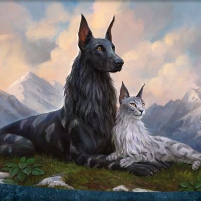 ardroz's profile picture. 