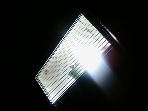 malatx's profile picture. 