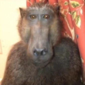 Patnet11's profile picture. 