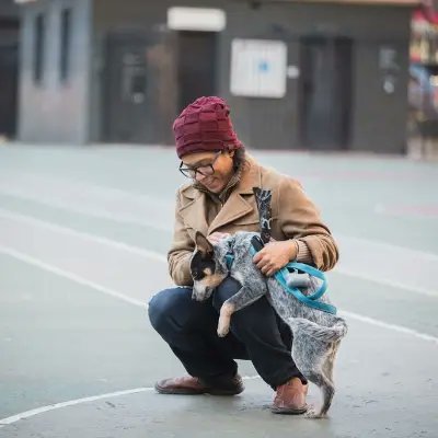 @RoverDotCom @Mercari_App
Mercari Store: https://t.co/ROgSZQevpC
Rover: https://t.co/jvAlWQnVbU…