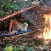 髭ロン毛マルチーズ (@higerongemal) Twitter profile photo