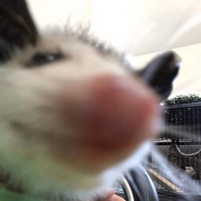 웁스さんのプロフィール画像