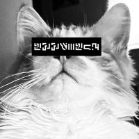T.π€β¨ (@_emerald_bby_) 's Twitter Profile
