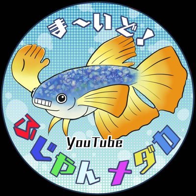 YouTubeで、メダカ関連の動画をアップしています。よろしければ是非ご覧ください 左記のURLからどうぞ^o https://t.co/3vgGUuZl7M