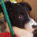 Bailey Junior - @BaileyJunior2 - Twitter