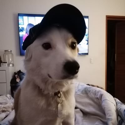 Pásele pásele.