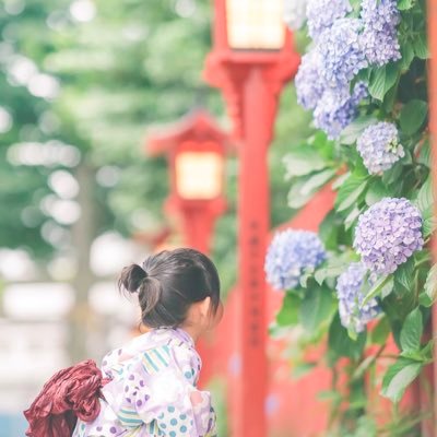 推しが多いと人生は煌めく 20↑