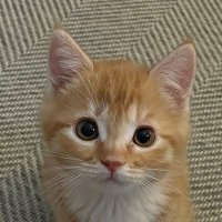 λͺ½κΈππ (@mygravity78) 's Twitter Profile