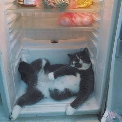 mary_antuan's profile picture. 