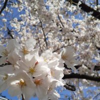 🤧すぎWOT🤧 (@kyoukyou_wot) 's Twitter Profile