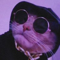 Salvatore Schillacci (@yuruyenanasonn) Twitter profile photo