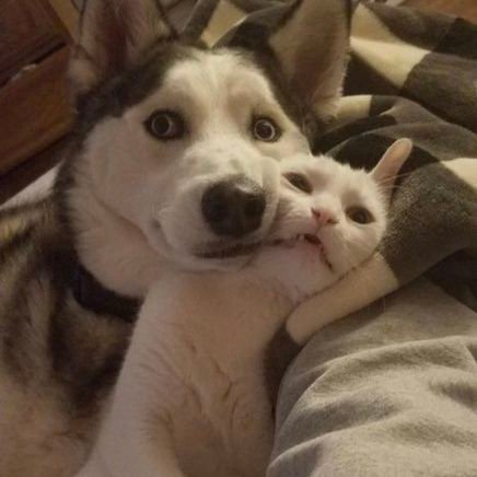 zz_macaron's profile picture. มาการองคลางร้ากกก