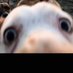 anders (@nvnd69420) Twitter profile photo anders (@nvnd69420) Twitter profile photo