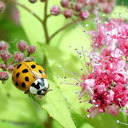 tom orton - @tomorton3 - Twitter