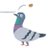 hato_popopopo_