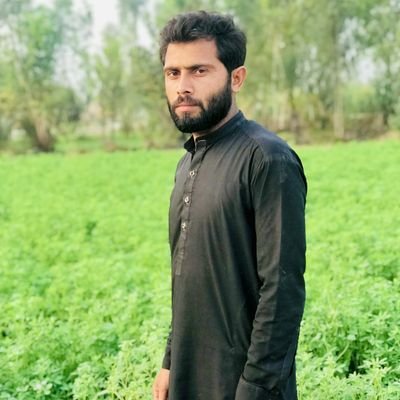 CEO at AL UMAIR LAbs technologist and pathalogist ......