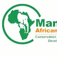 Mandrill African Safaris(@AhimbisibweCo13) 's Twitter Profile Photo