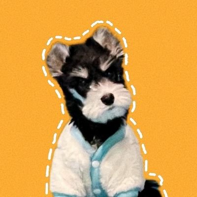 willlamber's profile picture. 矿圈老狗，币圈新手。
雷达不动每天8小时圈内社区平台游荡。
吸收发布圈内信息，发表会长言论欢迎来喷。
An old dog in the mining circle, a novice in the currency circle.
youtobe频道：【明哥说币】