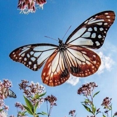 اللهم احسن خاتمتي ، وتوفني مسلمة موحده ( ودي بفرحة عظيمة )