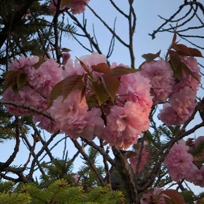 なすびさんのプロフィール画像