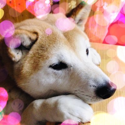 じさんのプロフィール画像