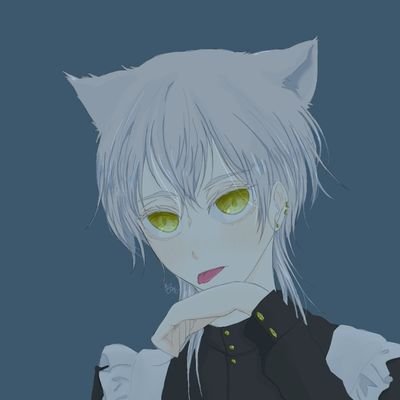 紀尾さんのプロフィール画像