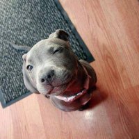 Crypt_Master (@oocryptmasteroo) 's Twitter Profile